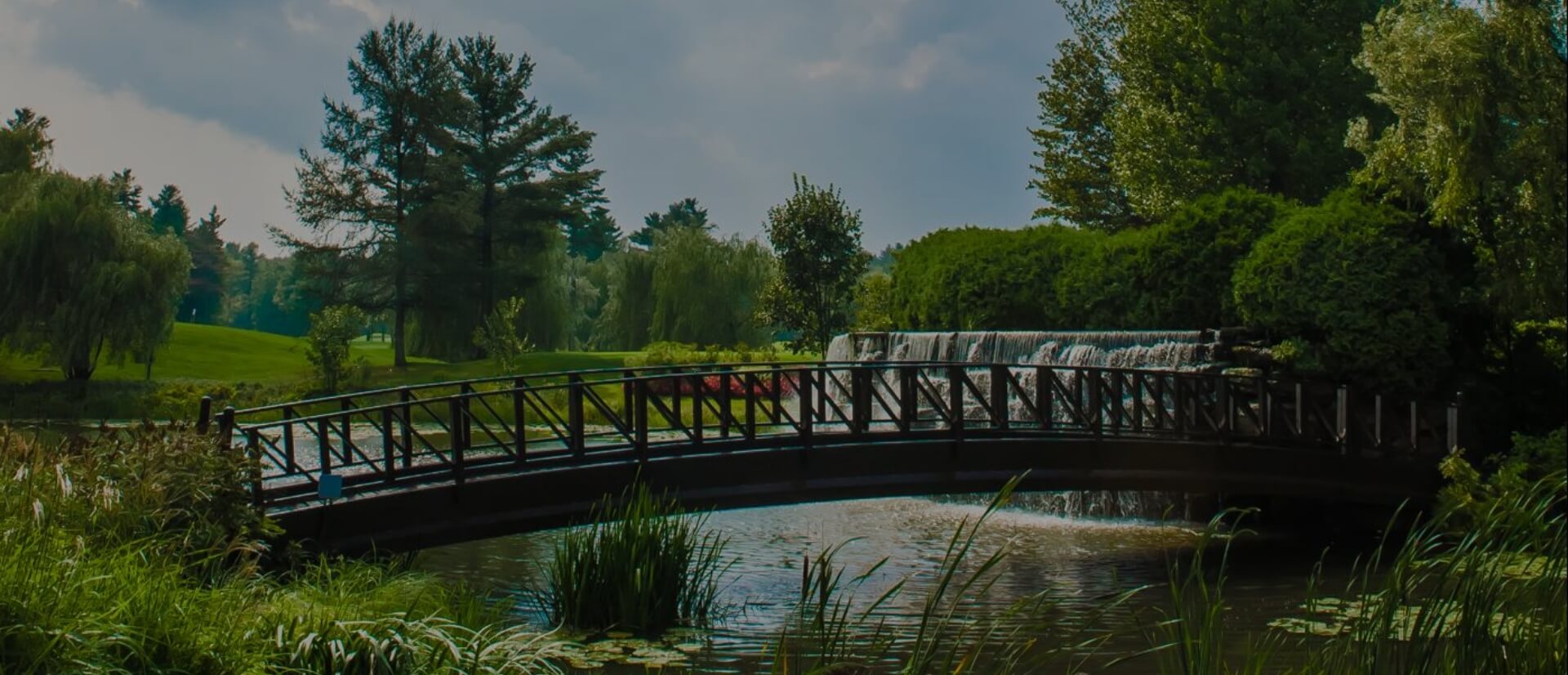 Photo d'un pont sur un terrain de golf